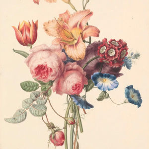 Meet your Posher, Chelsea